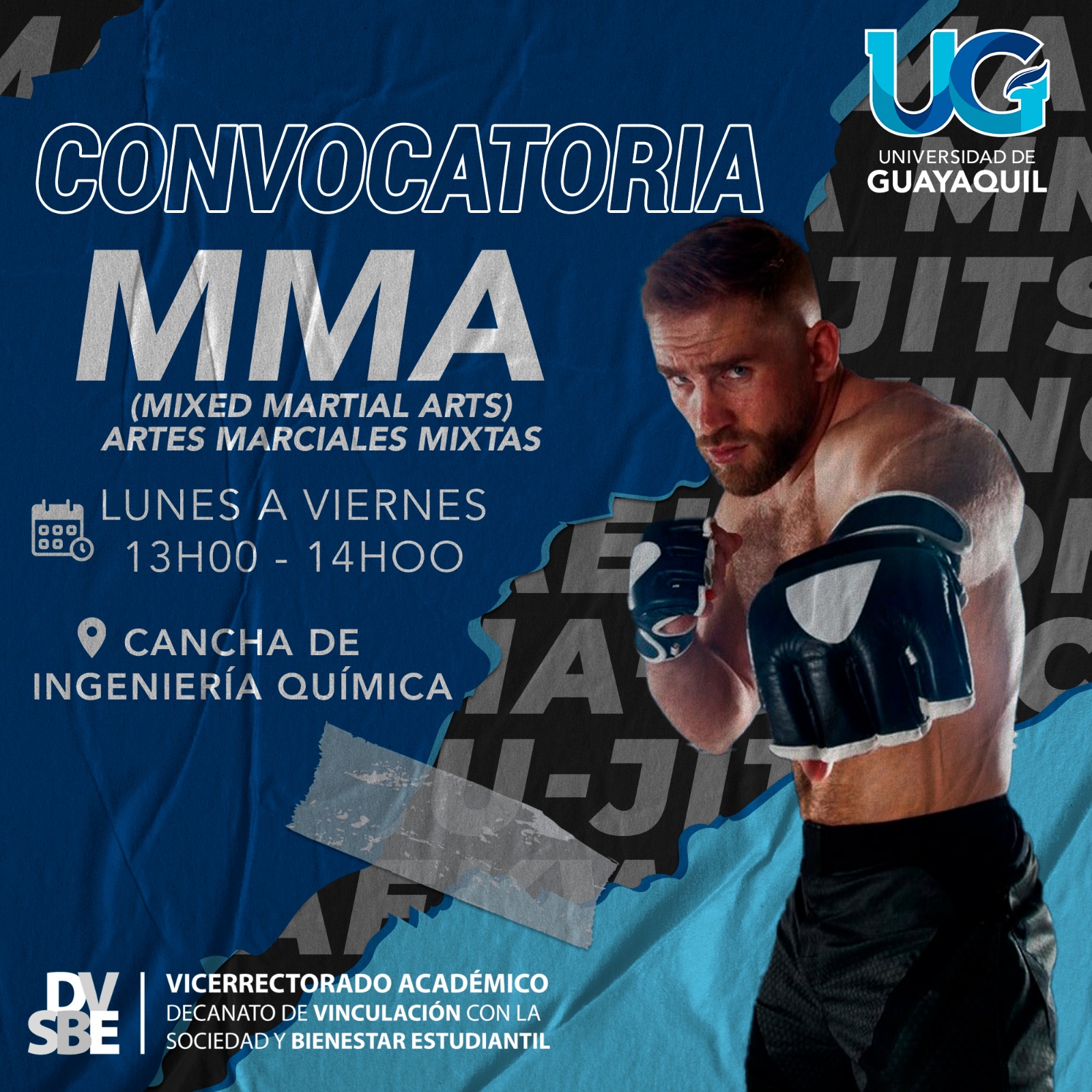 Convocatoria MMA (Artes marciales mixtas)